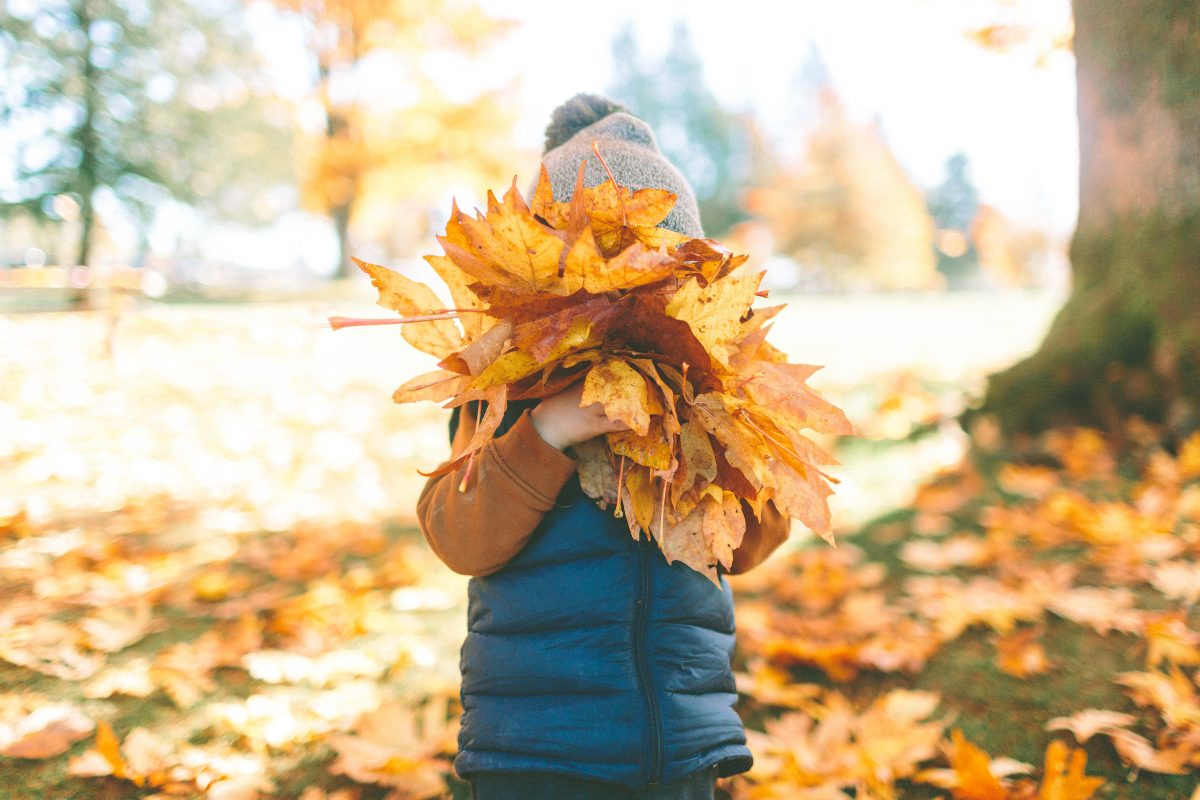 Child outside holding fall leaves in front of face.