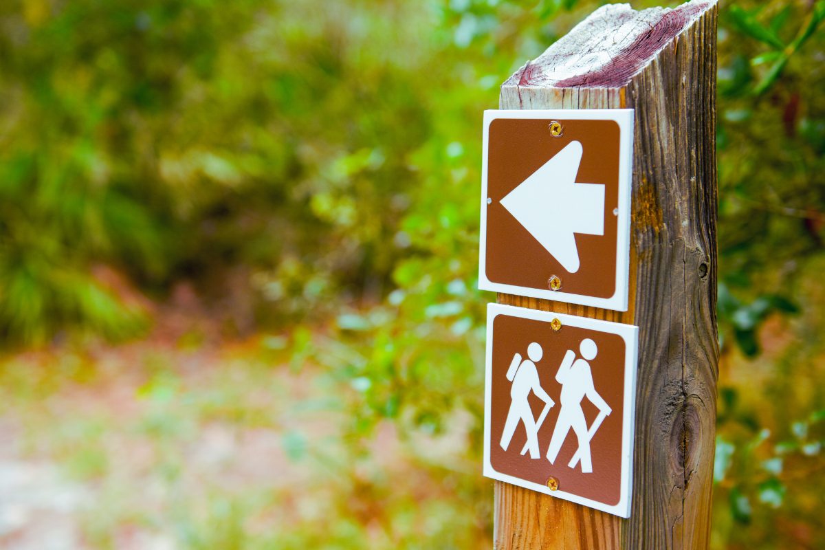 Sign in the woods that has an arrow and silhouettes of two hikers walking with hiking sticks. 
